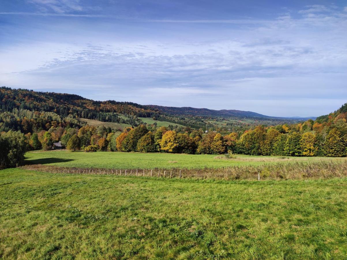 Rezydencja Bukowy Dwor Czarna  Exterior foto
